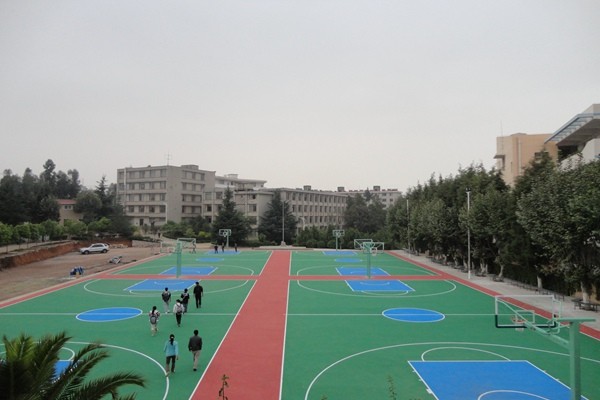 杭州塑胶篮球场材料
