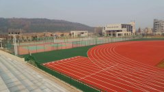 东海县球场材料厂家为你解析