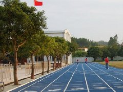 菏泽塑胶篮球场