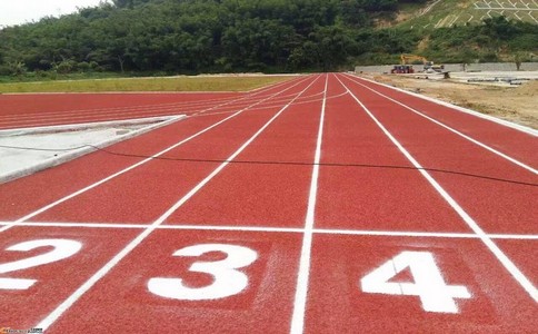 南汇区塑胶跑道厂家